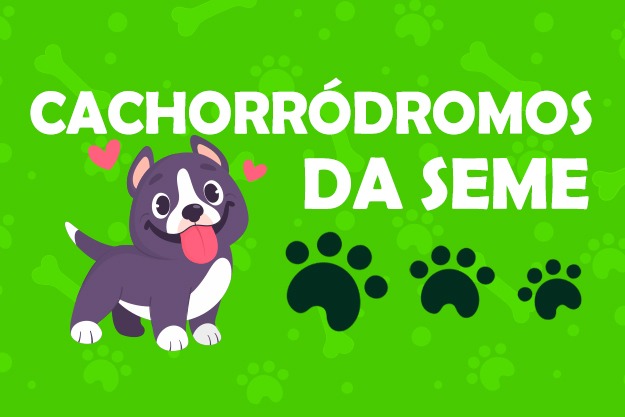 Na imagem, arte com as escritas 