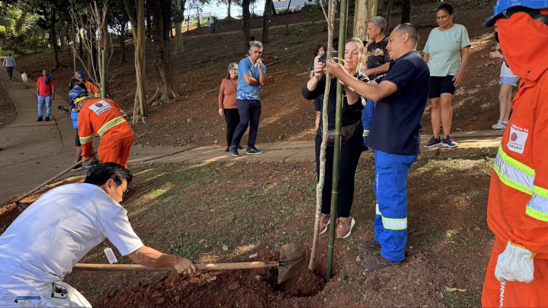 Subprefeito do Ipiranga ajudando no plantio de mudas na praça.