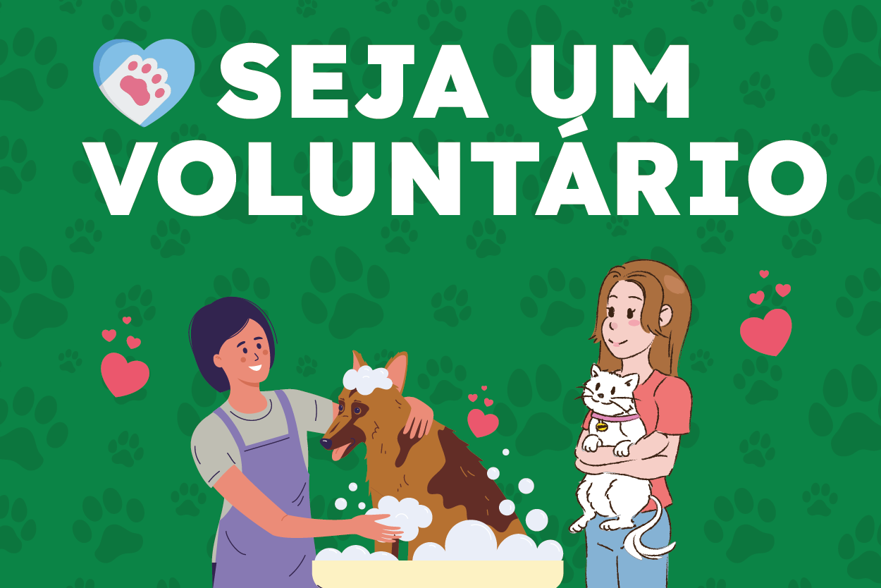 Pra Todos Verem: Banner com fundo verde e estampas de pegadas de patas. No centro, o texto “SEJA UM VOLUNTÁRIO” em letras brancas e grandes. Na parte inferior, uma pessoa dá banho em um cão enquanto outra segura um gato no colo. Pequenos corações decorativos aparecem ao redor das ilustrações. A arte convida a população a participar como voluntária em ações de cuidado e proteção animal.